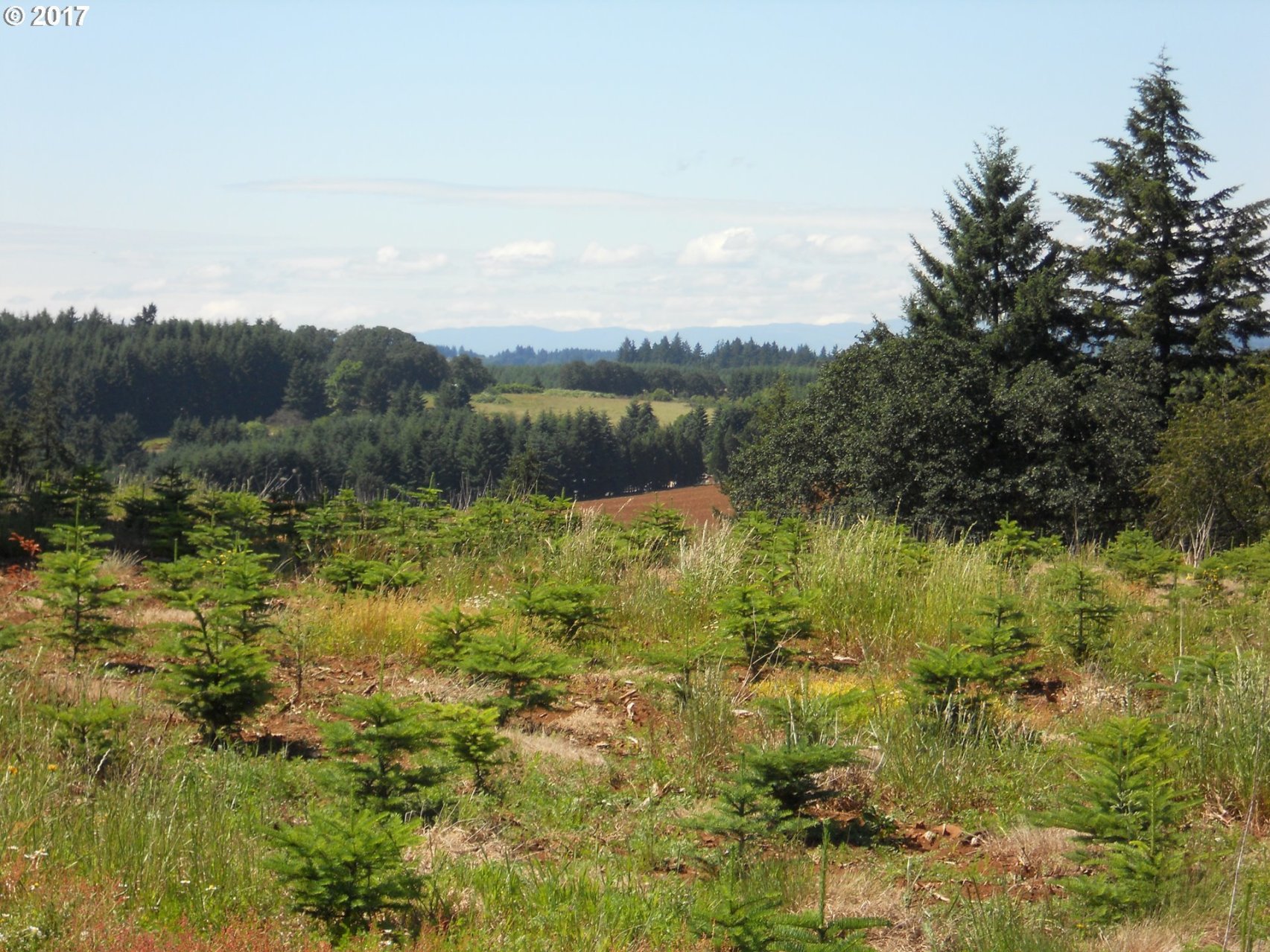 7898 Jackson Hill Road Southeast Salem, OR 97306 - Photo 9 of 11 Gallery Image 9