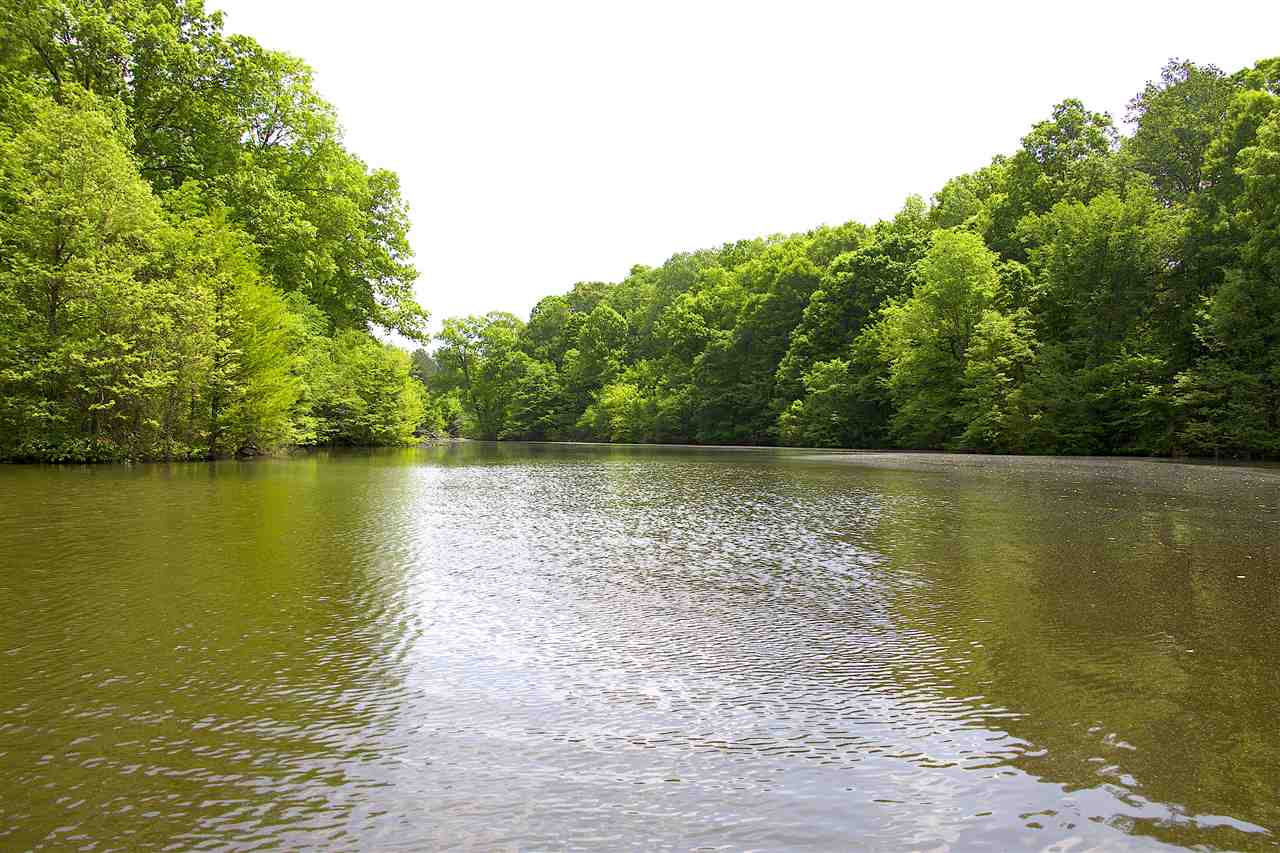 3135 Bluff Road Hernando, MS 38632 - Photo 2 of 12