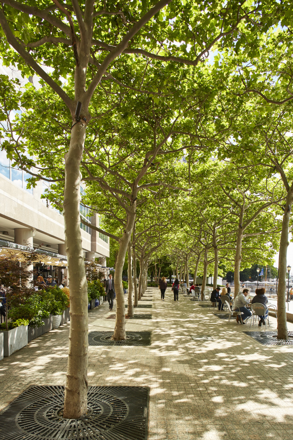 333 Rector Place, Unit 705 Manhattan, NY 10280 - Photo 13 of 14