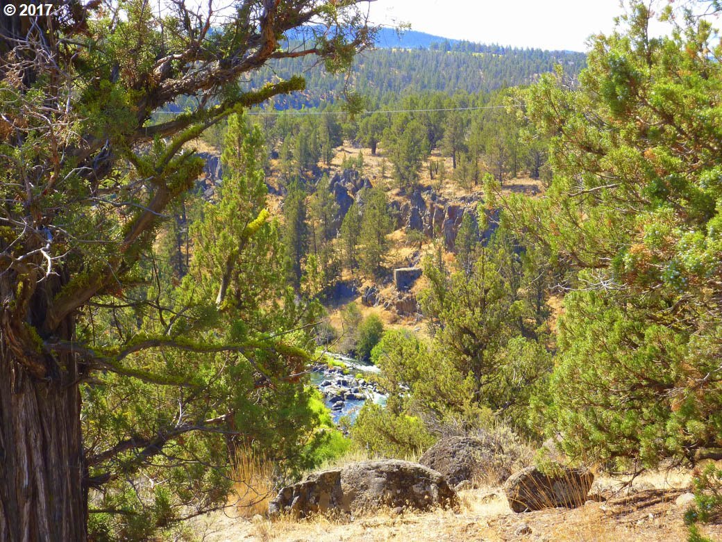 20545 Harper Road Bend, OR 97703 - Photo 16 of 21 Gallery Image 16