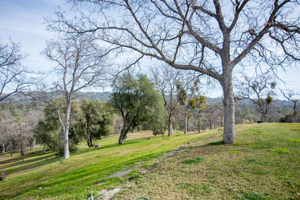 45563 Windmill Road Coarsegold, CA 93614 - Photo 44 of 54 Gallery Image 44