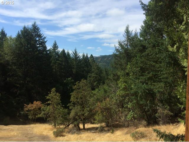 1933 Byron Creek Road Winston, OR 97496 - Photo 14 of 16