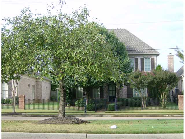 1501 Kimbrough Road Germantown, TN 38138 - Photo 1 of 12 Gallery Image 1