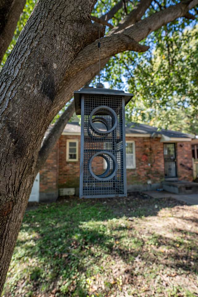 1666 Ivy Road Memphis, TN 38117 - Photo 24 of 25