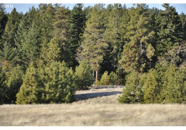 Mt View Road Lyle, WA 98635 - Photo 2 of 7 Gallery Image 2