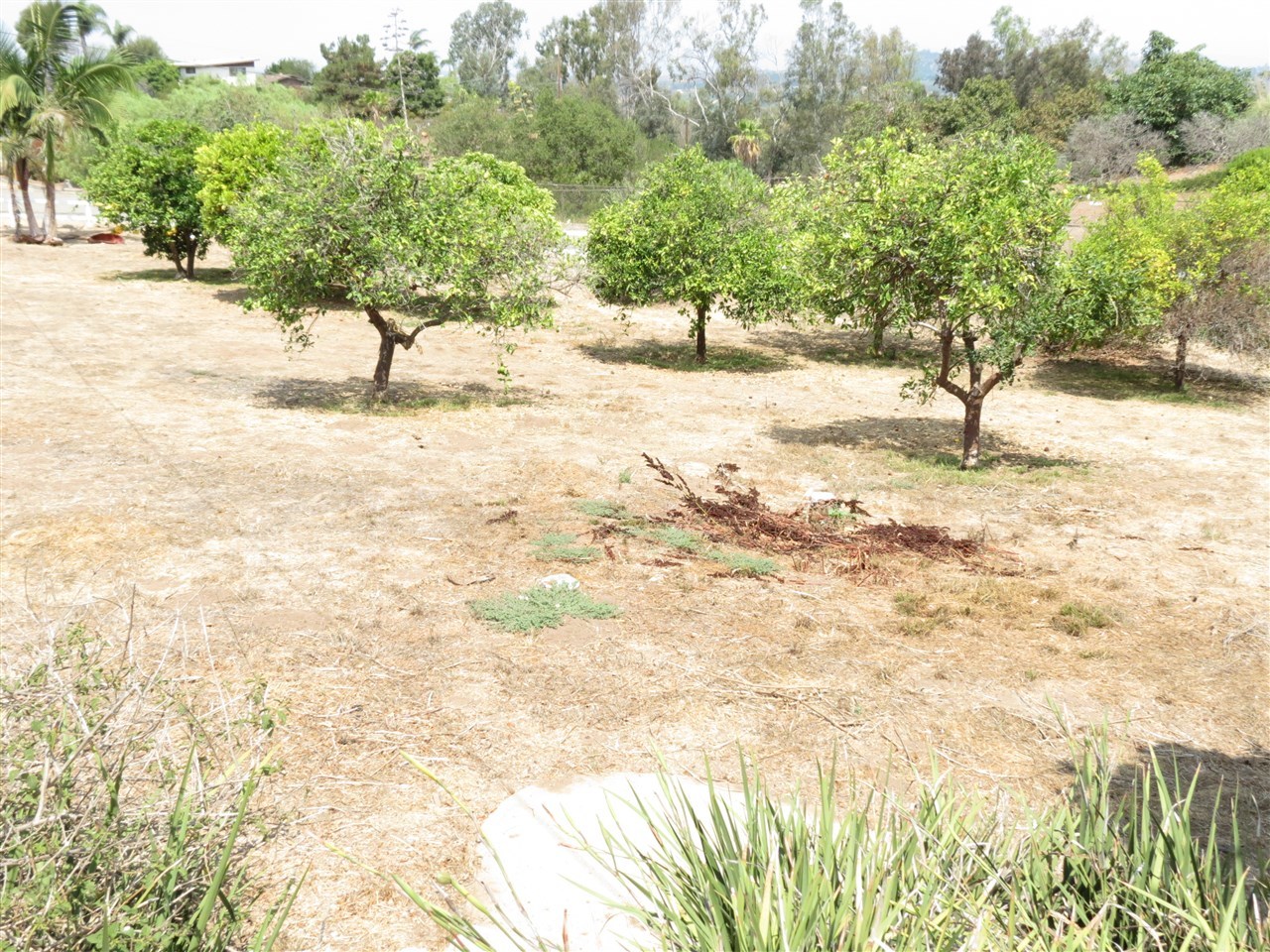 422 Mason Road Vista, CA 92084 - Photo 11 of 11