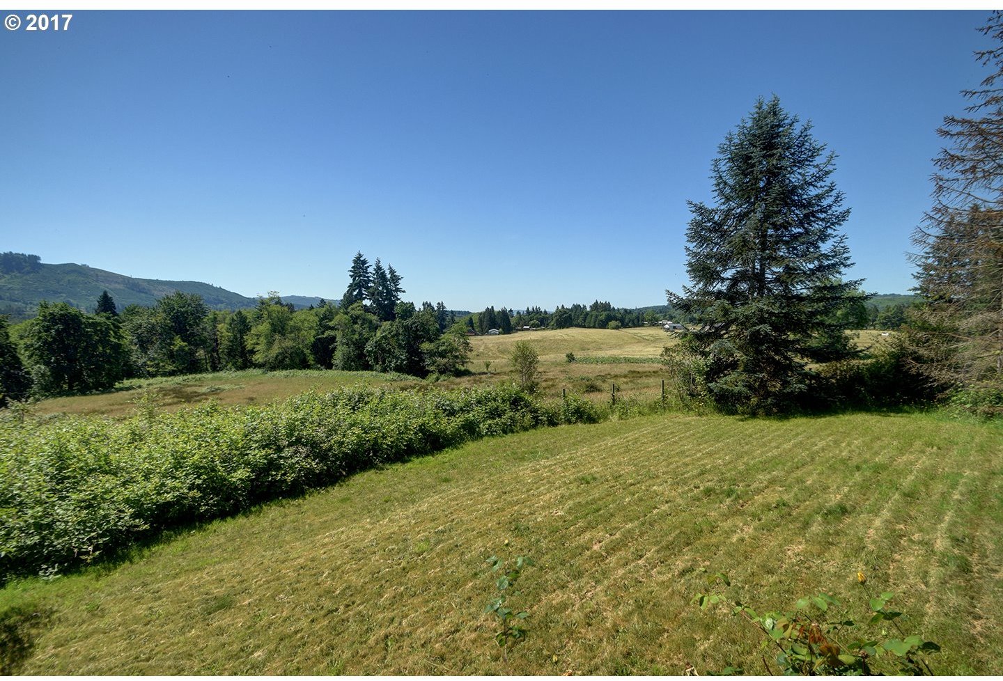 319 Waters Road Castle Rock, WA 98611 - Photo 31 of 31 Gallery Image 31