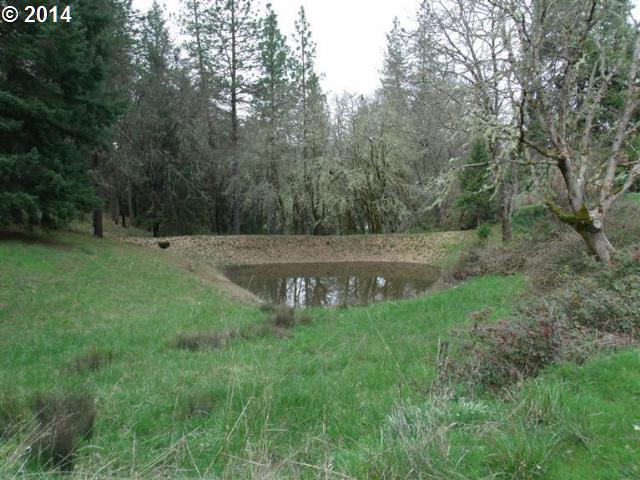 305 Ray Drive Merlin, OR 97532 - Photo 10 of 10 Gallery Image 10