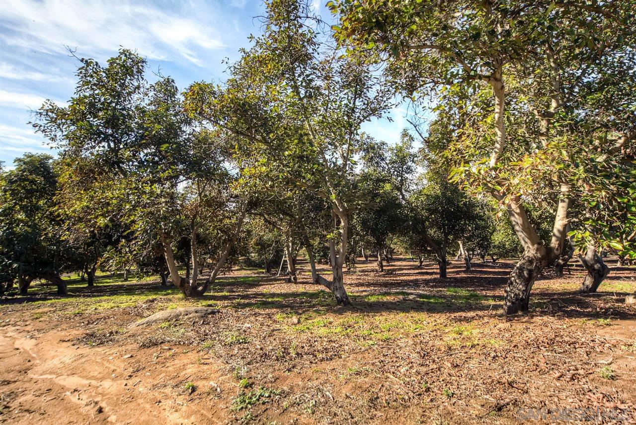 1843 Canyon Heights Road Fallbrook, CA 92028 - Photo 2 of 15 Gallery Image 2