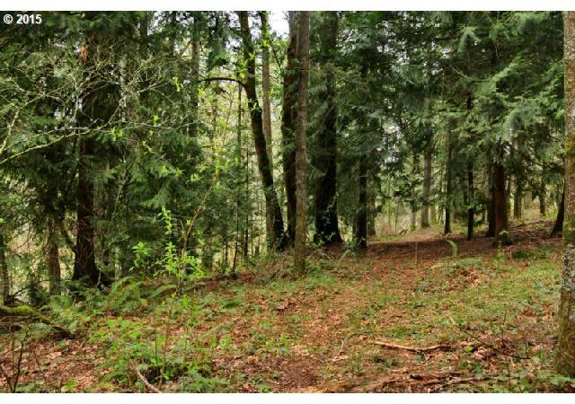 0 Southwest Labrousse Road, Unit 4 Sherwood, OR 97140 - Photo 2 of 8
