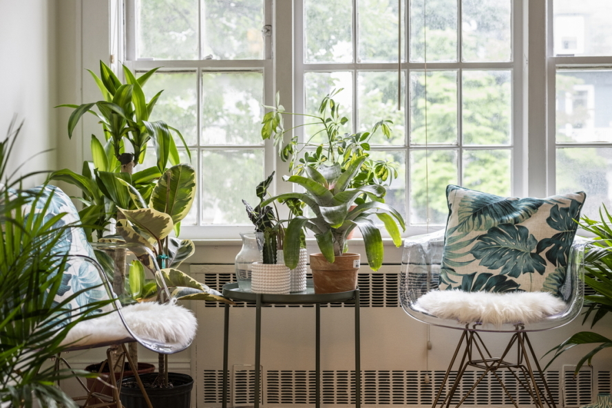 120 Stratford Road Brooklyn, NY 11218 - Photo 9 of 19