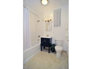 214 Clinton Street, Unit 1A Brooklyn, NY 11201 - Photo 4 of 6