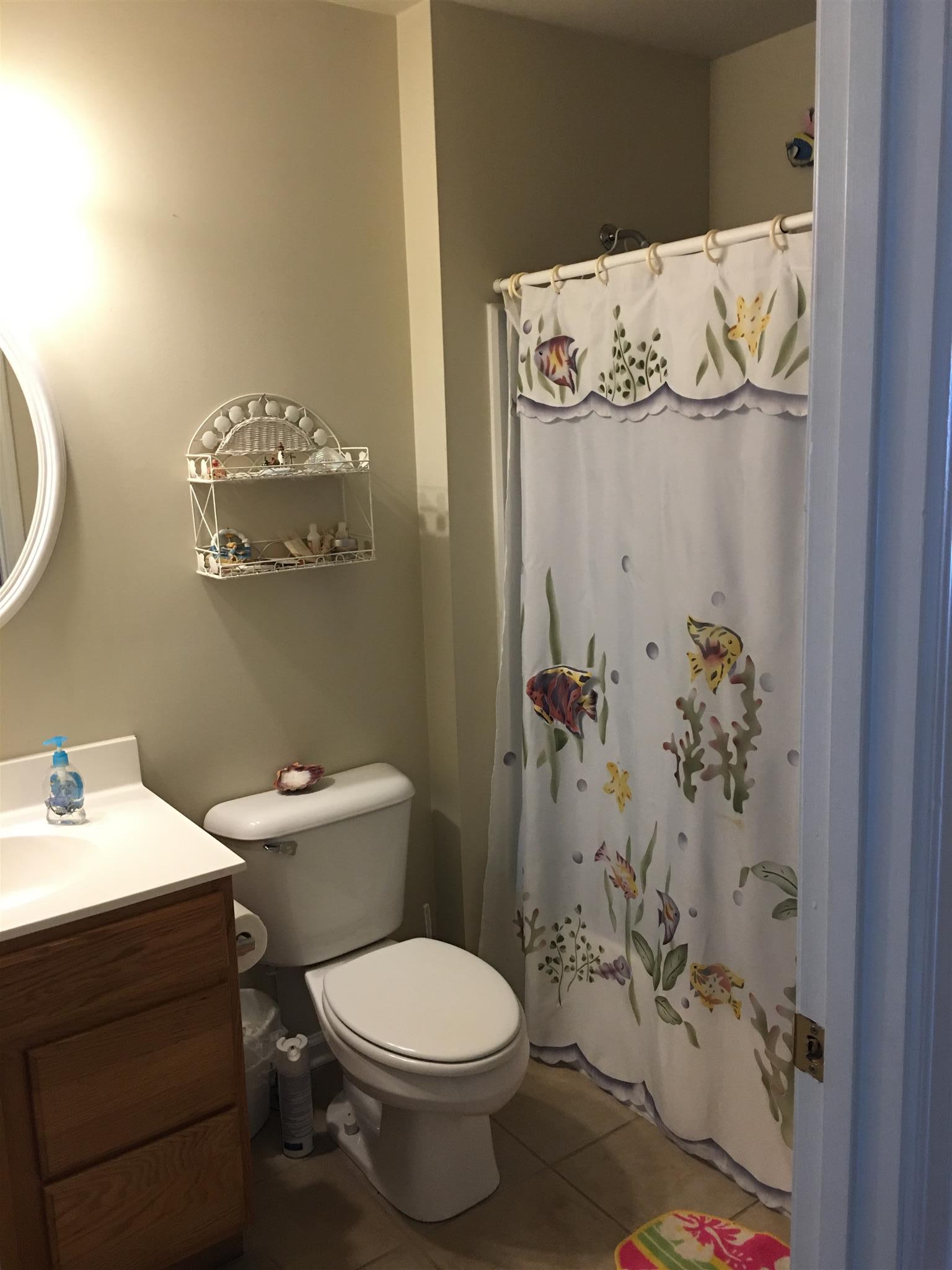 7118 Wheat Road Fairview, TN 37062 - Photo 22 of 27 Hall bath