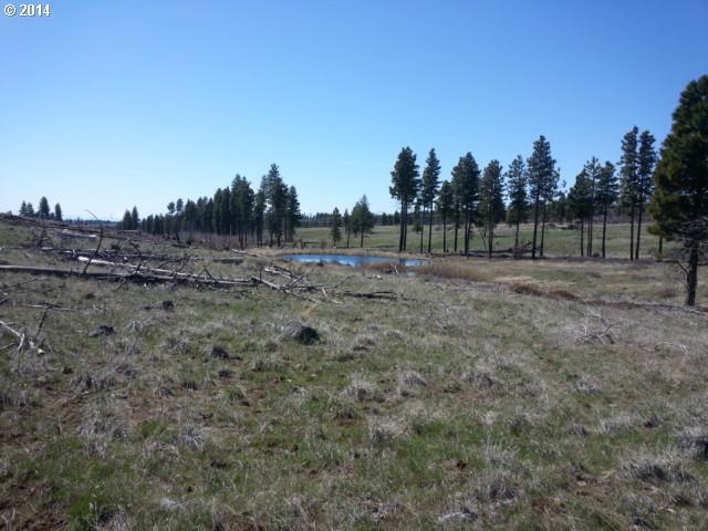 Timber, Unit 24 Roosevelt, WA 99356 - Photo 3 of 13 Gallery Image 3