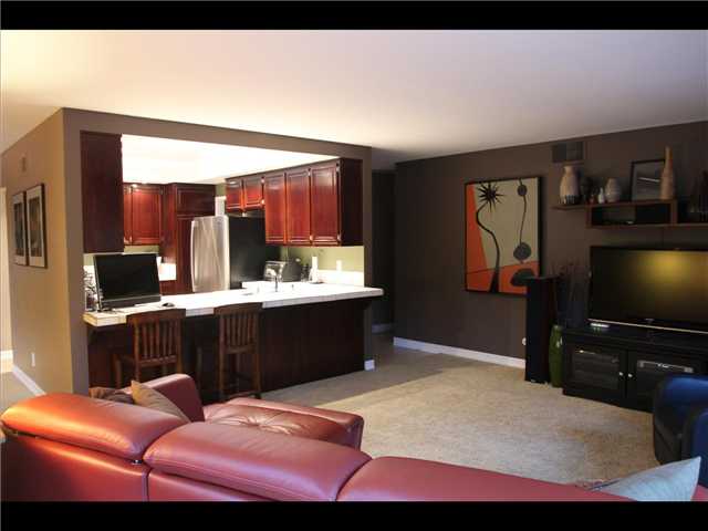 239 Willowspring Drive North Encinitas, CA 92024 - Photo 17 of 19