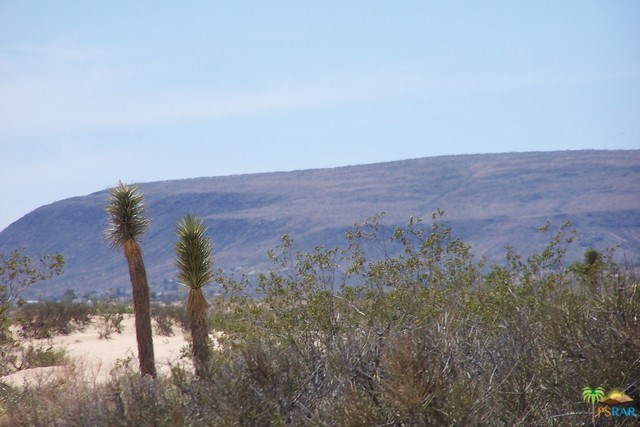 0 Jack Rabbit Landers, CA 92285 - Photo 5 of 11
