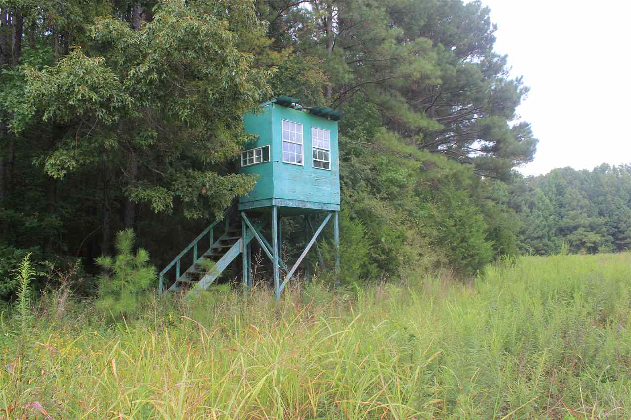 0 Robert Ford Road Waterford, MS 38685 - Photo 16 of 25