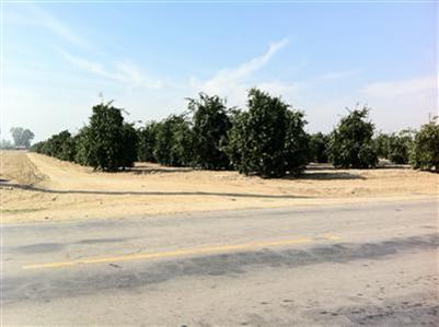 8300 Edison Road Bakersfield, CA 93307 - Photo 2 of 20 Gallery Image 2