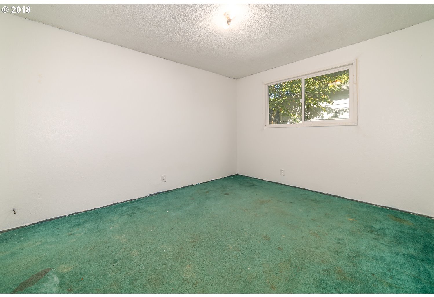 6312 C Street Springfield, OR 97478 - Photo 9 of 29