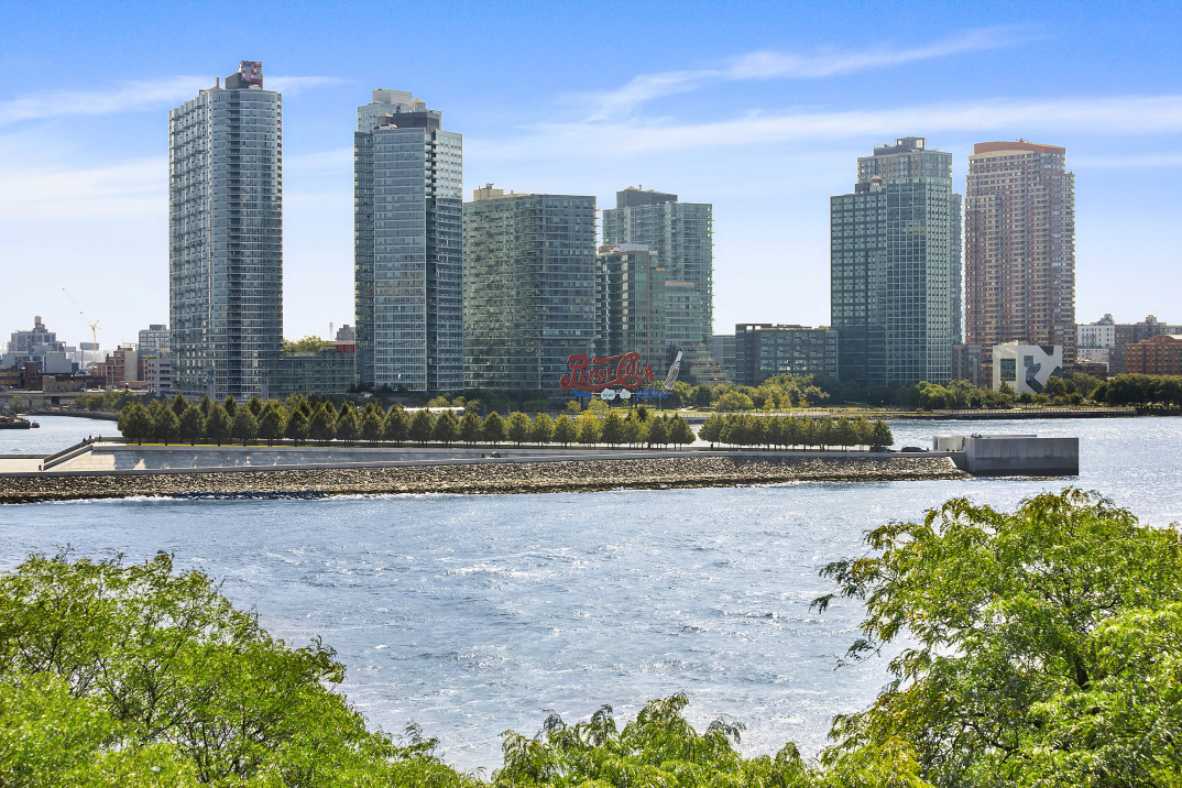 29 Beekman Place Manhattan, NY 10022 - Photo 11 of 21