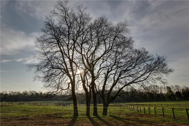 13920 Patterson Road College Grove, TN 37046 - Photo 23 of 30 Let's take another glimpse of a country morning.