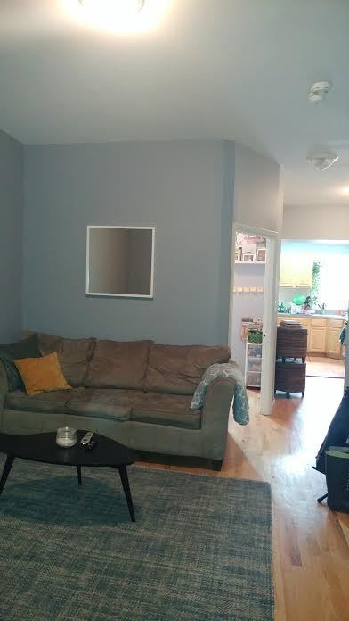 760 Halsey Street Brooklyn, NY 11233 - Photo 2 of 15