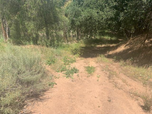 Camino Rainbow Fallbrook Ca Fallbrook, CA 92028 - Photo 7 of 25