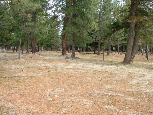 Austin Road Goldendale, WA 98620 - Photo 6 of 15 Gallery Image 6