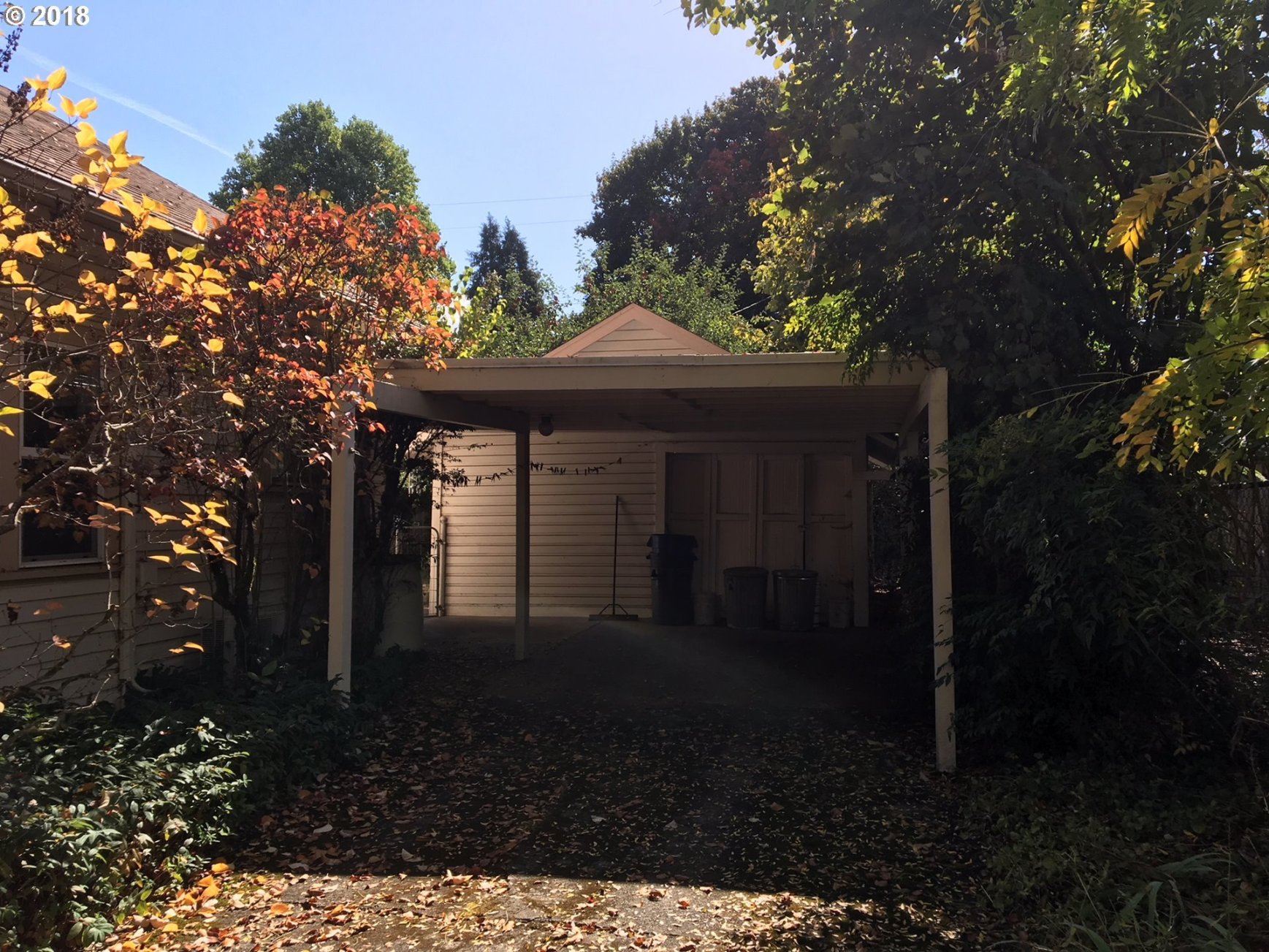 725 D Street Springfield, OR 97477 - Photo 8 of 19