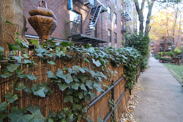 107 Morton Street, Unit GB Manhattan, NY 10014 - Photo 8 of 9