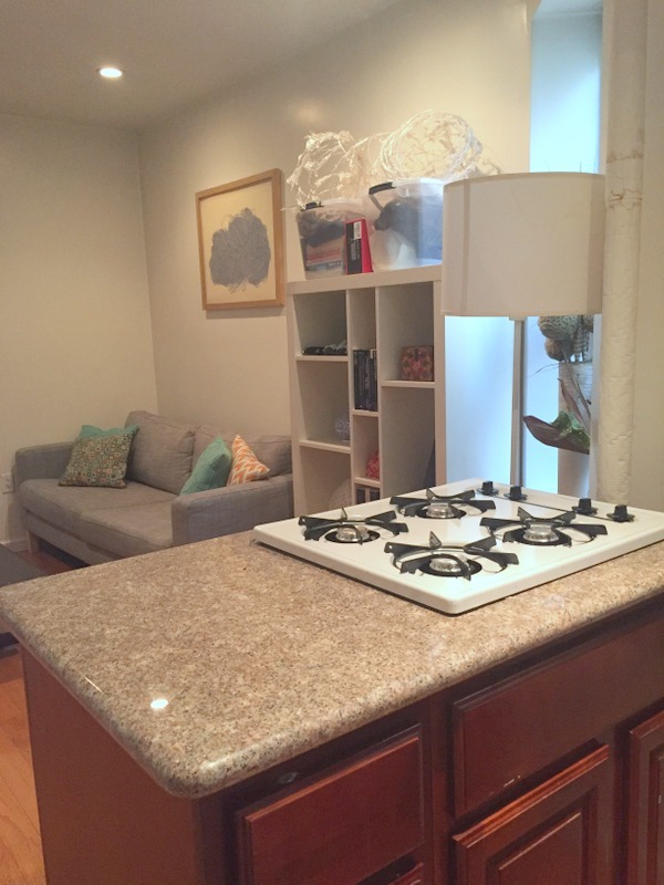 117 Henry Street, Unit 15 Manhattan, NY 10002 - Photo 2 of 5