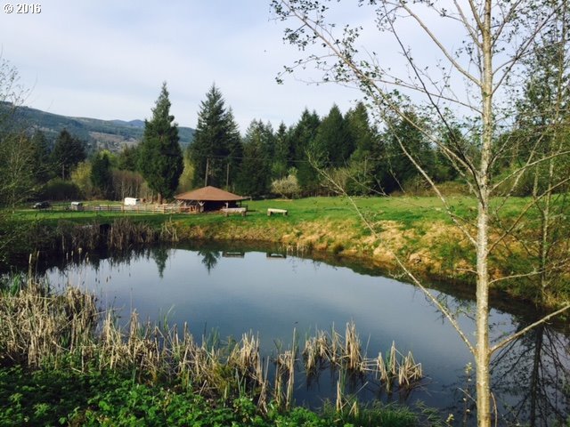 45446 Goodpasture Road Vida, OR 97488 - Photo 8 of 32 Gallery Image 8