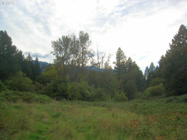 292 Franz Road Stevenson, WA 98648 - Photo 9 of 10 Gallery Image 9