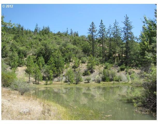 0 Worthington Road Eagle Point, OR 97524 - Photo 5 of 9
