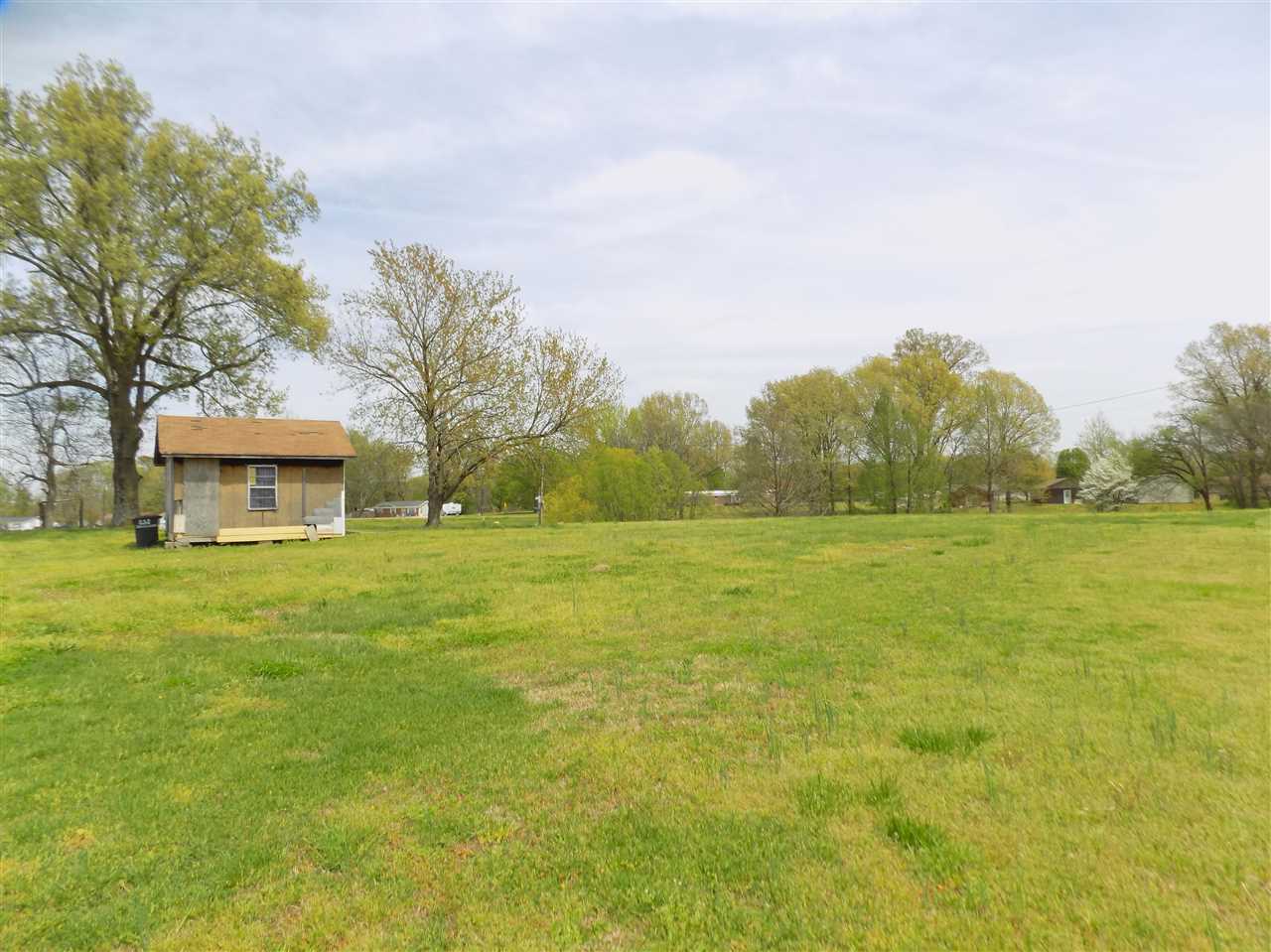 0 Richardson Landing Road Drummonds, TN 38023 - Photo 6 of 9