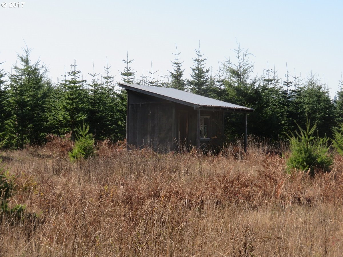 Antrim Road Winlock, WA 98596 - Photo 26 of 32