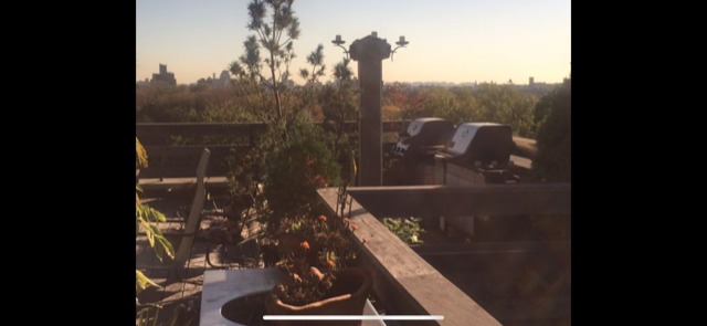 207 Prospect Park Southwest, Unit PHA Brooklyn, NY 11218 - Photo 3 of 4