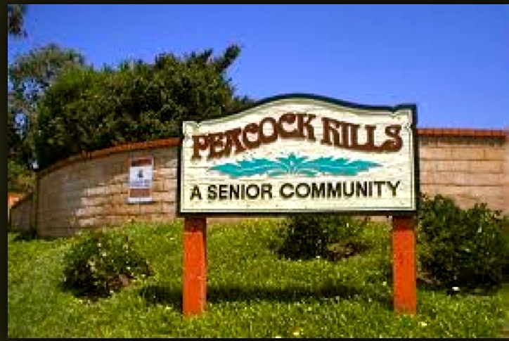 1376 Panorama Ridge Road Oceanside, CA 92056 - Photo 16 of 16