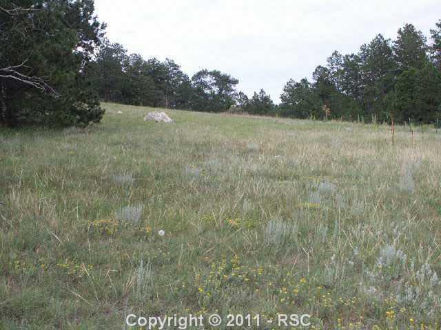 15380 Apex Ranch Road Peyton, CO 80831 - Photo 3 of 3 Perfect place to build Your Dream Home!