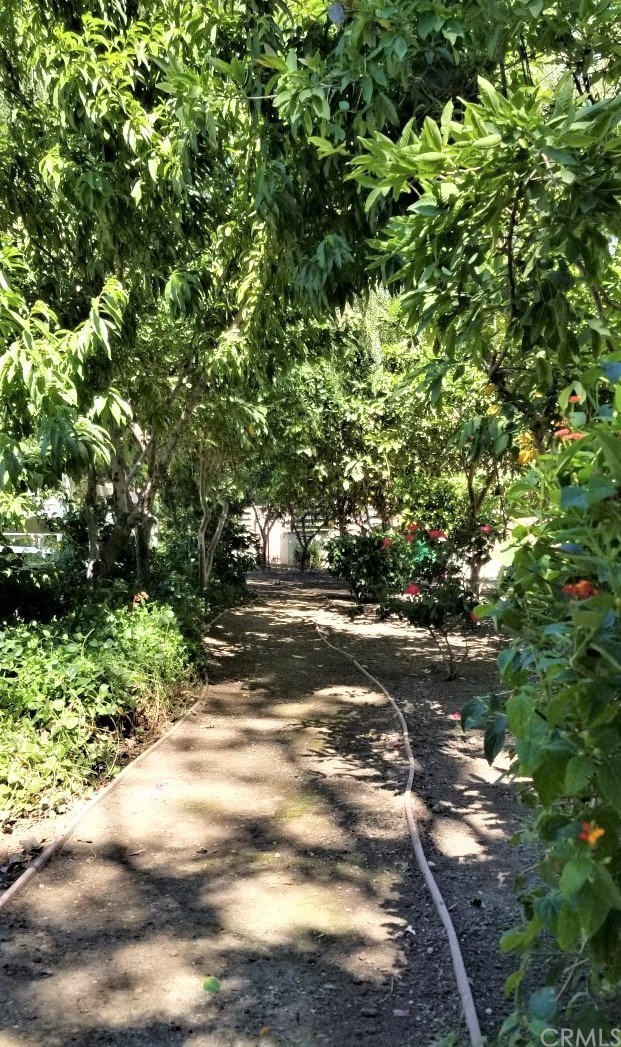1640 Hillside Avenue Norco, CA 92860 - Photo 74 of 75 Meandering trails on property with fruit trees and mature landscaping