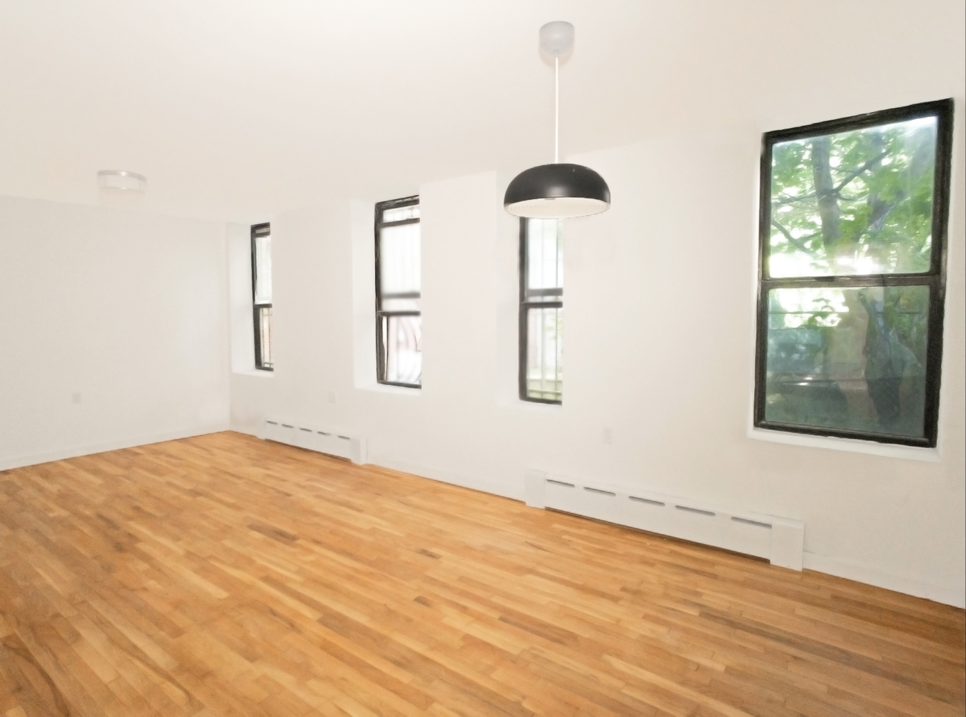 117 Thomas S Boyland Street, Unit 1B Brooklyn, NY 11233 - Photo 4 of 8
