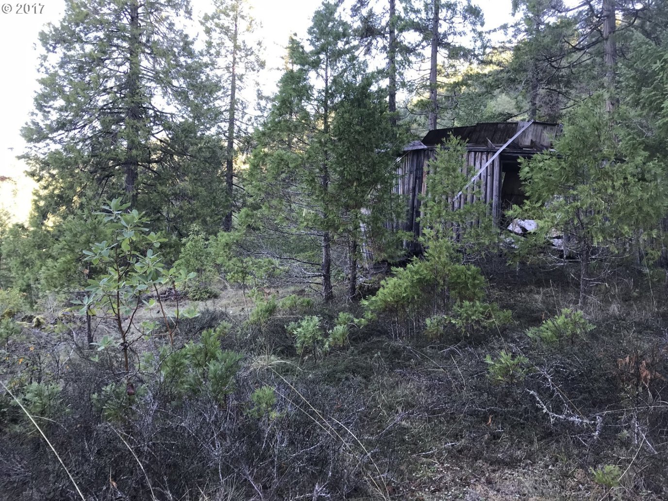 Old House Creek Road Agness, OR 97406 - Photo 10 of 31