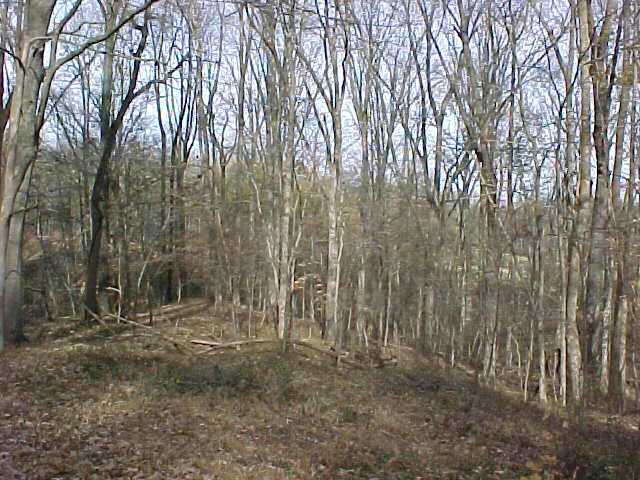 5876 Walsh Road Millington, TN 38053 - Photo 7 of 7