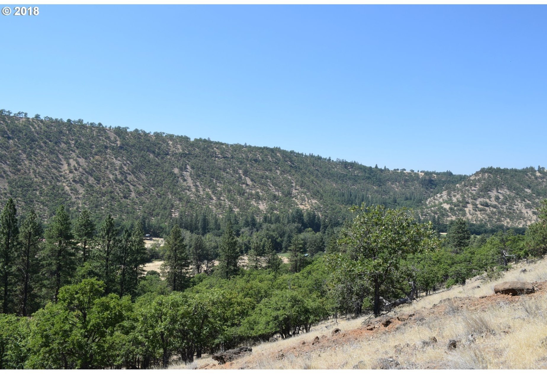 80931 Shadybrook Road Tygh Valley, OR 97063 - Photo 14 of 19 Gallery Image 14