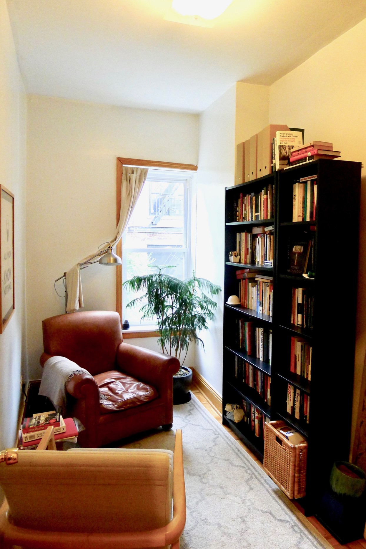 129 Atlantic Avenue, Unit 3R Brooklyn, NY 11201 - Photo 6 of 8