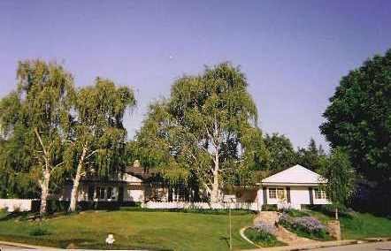 227 Morris Ranch Road Danville, CA 94526 - Photo 1 of 1