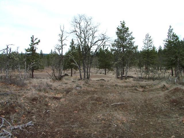 Austin Road Goldendale, WA 98620 - Photo 7 of 15 Gallery Image 7