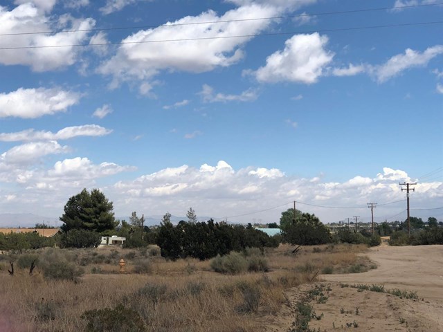 0 Nielson Phelan, CA 92371 - Photo 5 of 7