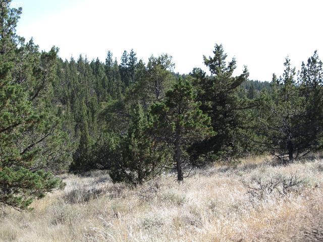 Southeast Simpson Road, Unit 603 Prineville, OR 97754 - Photo 3 of 4 Gallery Image 3