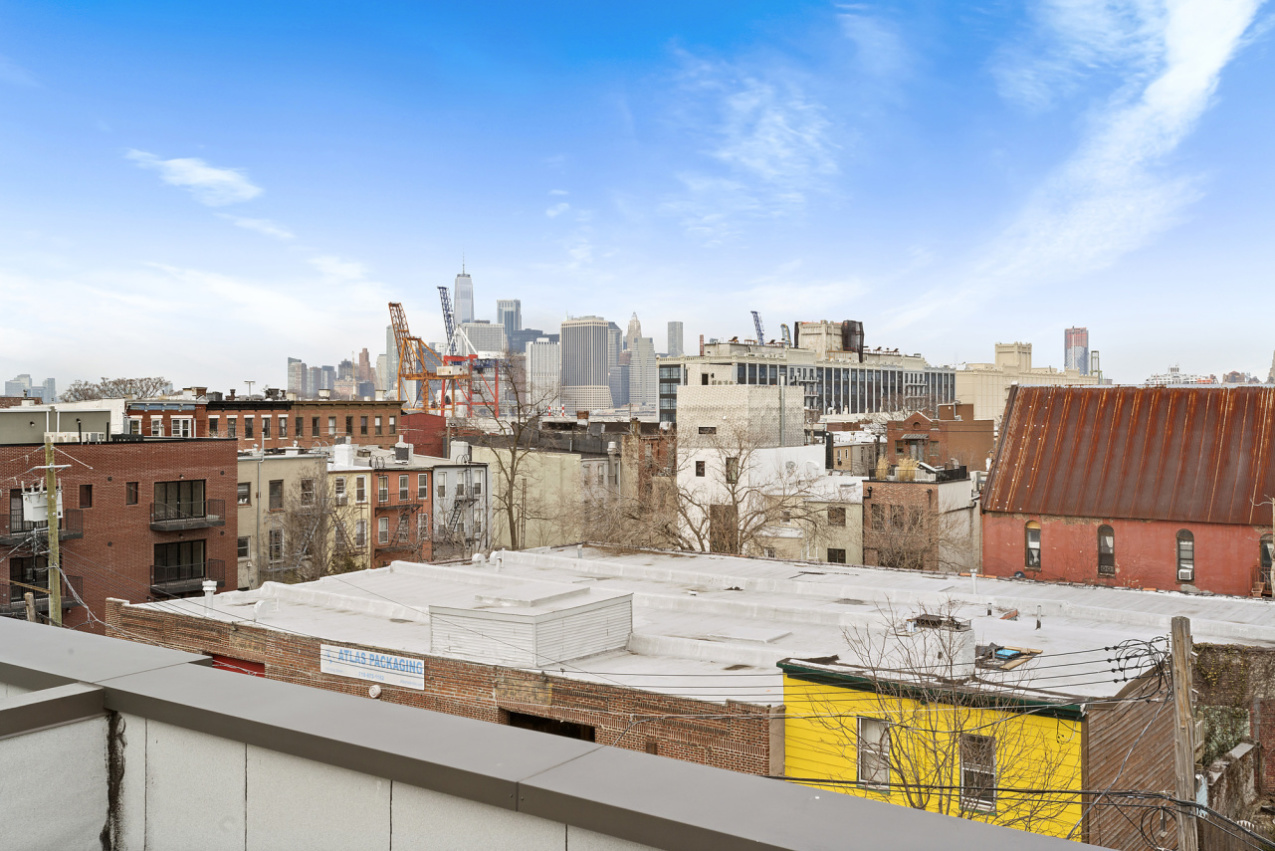 113 King Street Brooklyn, NY 11231 - Photo 3 of 14